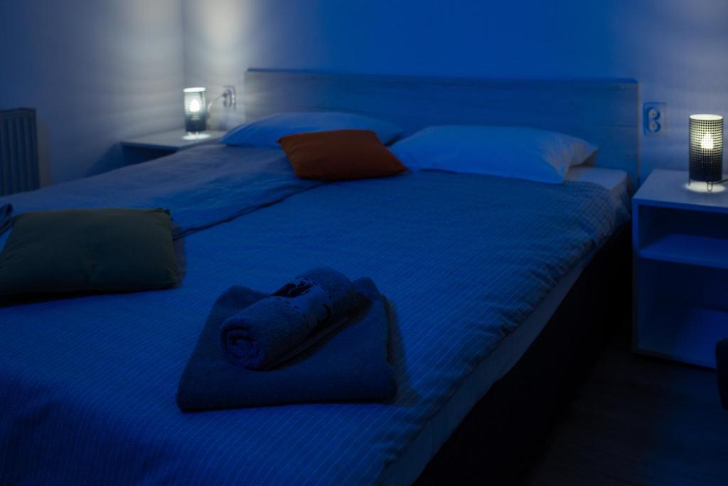 Voodi või voodid majutusasutuse La Casa toas