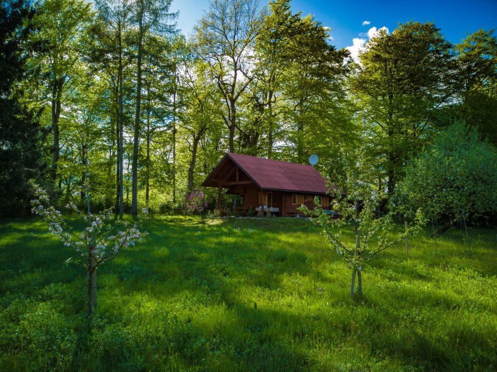 a cabin in the middle of a field with trees at Silent Orchard in Naklo