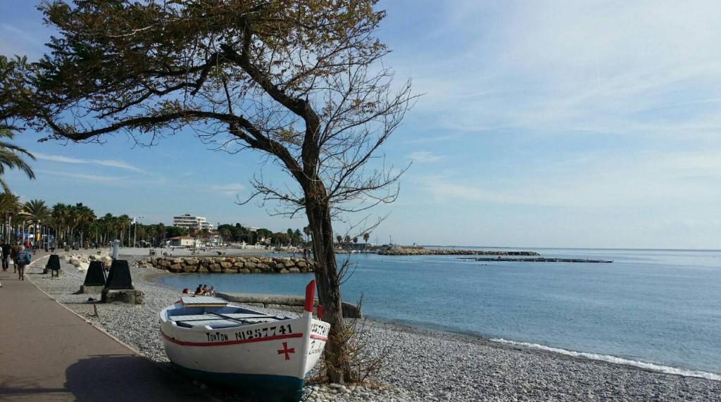 un bateau assis sur la plage à côté d'un arbre dans l'établissement Le Laurier, à Cagnes-sur-Mer