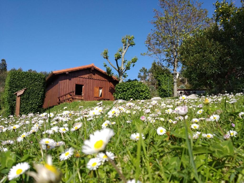 a field of flowers in front of a barn at Rincón de Sira in Cee