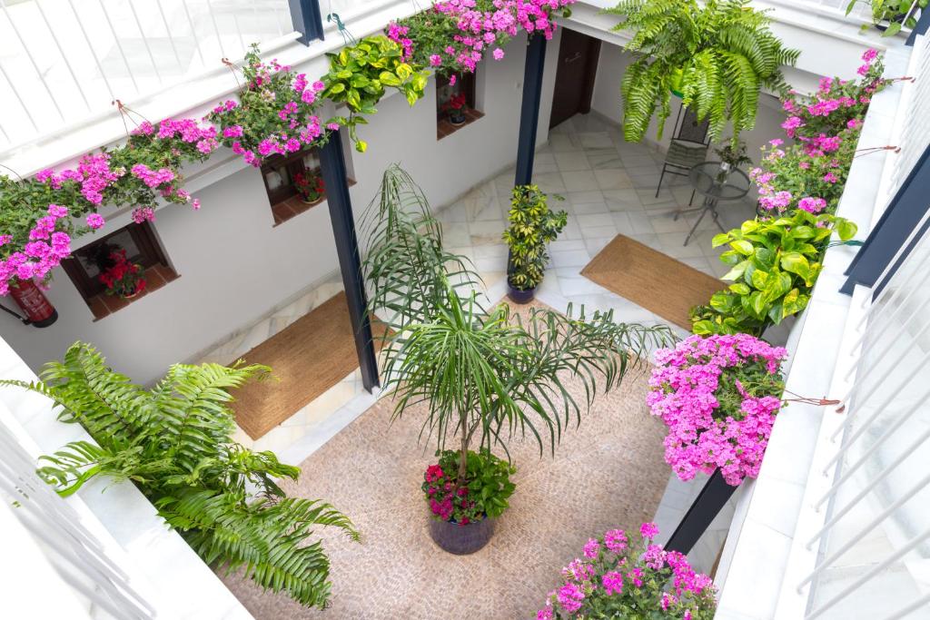una vista aérea de un patio con plantas y flores en Casa Los Cuatro Soles, en Córdoba