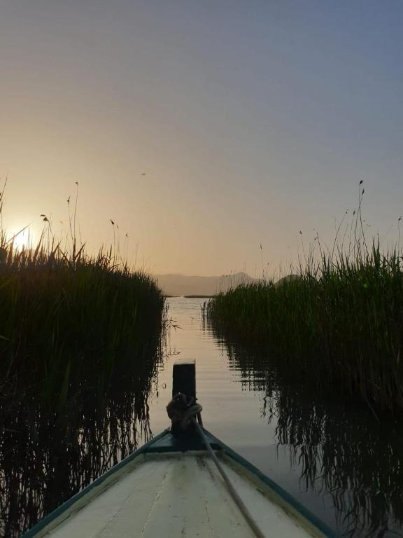 Apartments Miona - 12