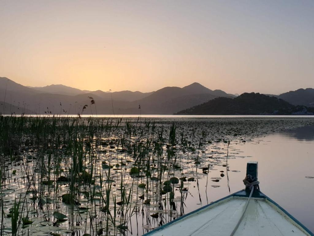 Apartments Miona - 13