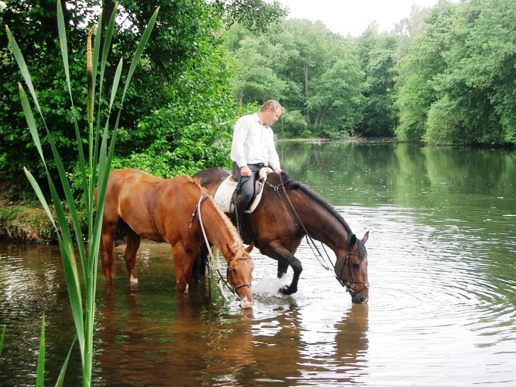 Zvířata v hotelu nebo okolí