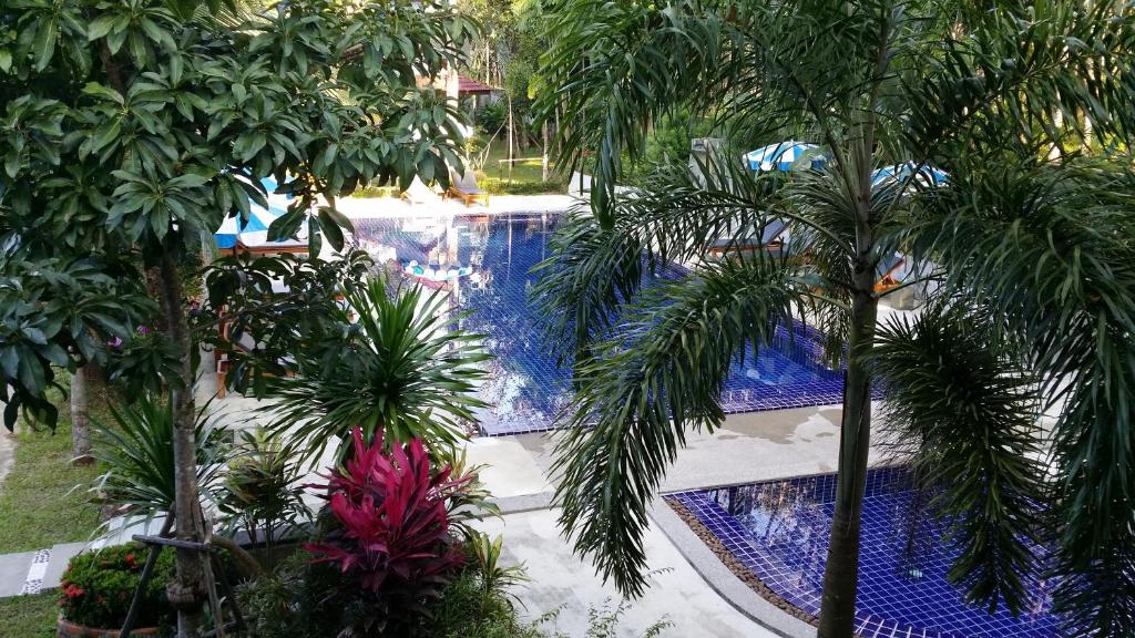 an overhead view of a swimming pool with palm trees at Khaolak Yama Resort - SHA Plus in Khao Lak