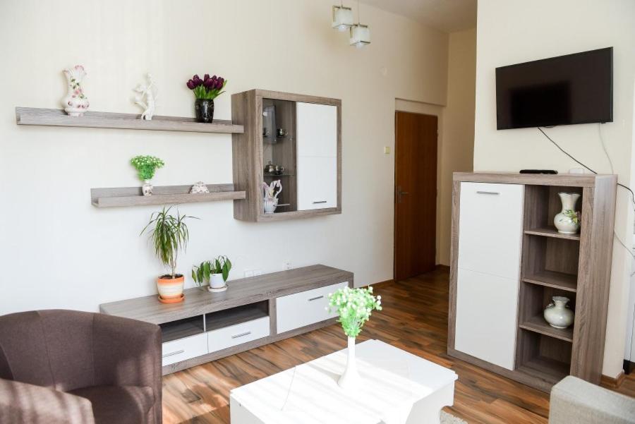Kuchyň nebo kuchyňský kout v ubytování Hotel Rubín