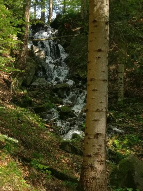Príroda v okolí dovolenkového domu
