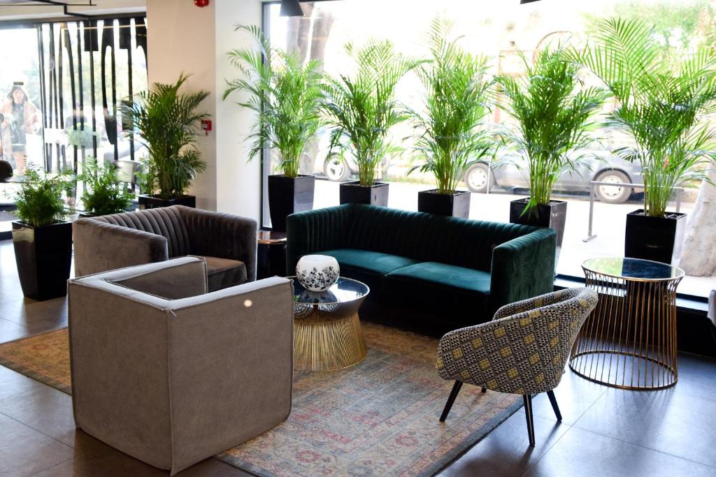 Adonis City Hotel - Resim 10