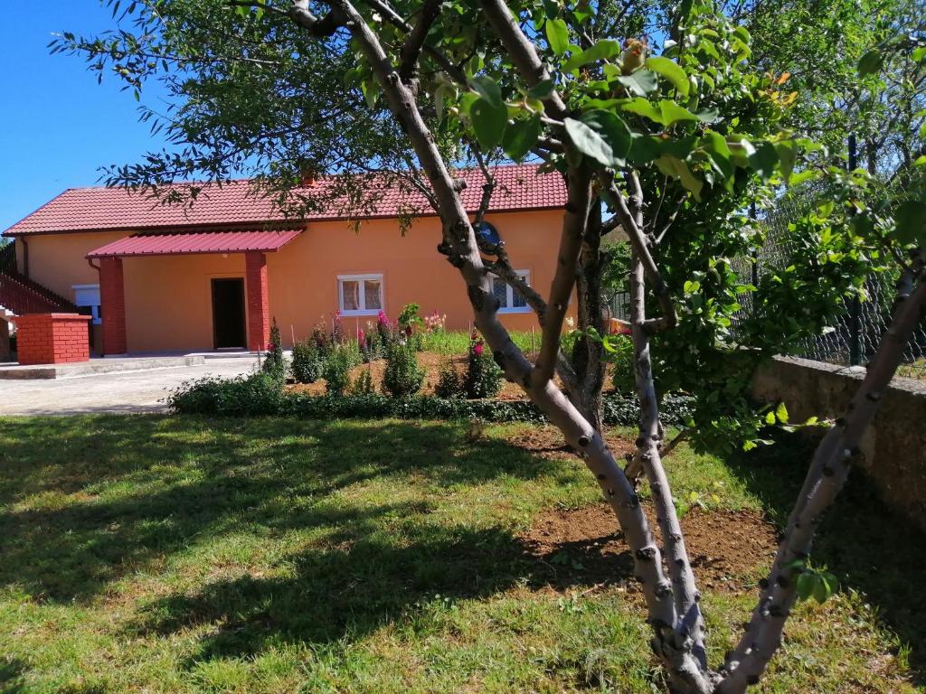 une maison avec un arbre dans la cour dans l'établissement Ferienhouse, à Benkovac