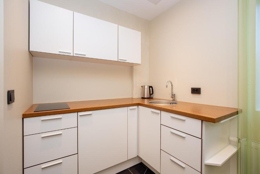 Kuchyň nebo kuchyňský kout v ubytování P54 Apartment