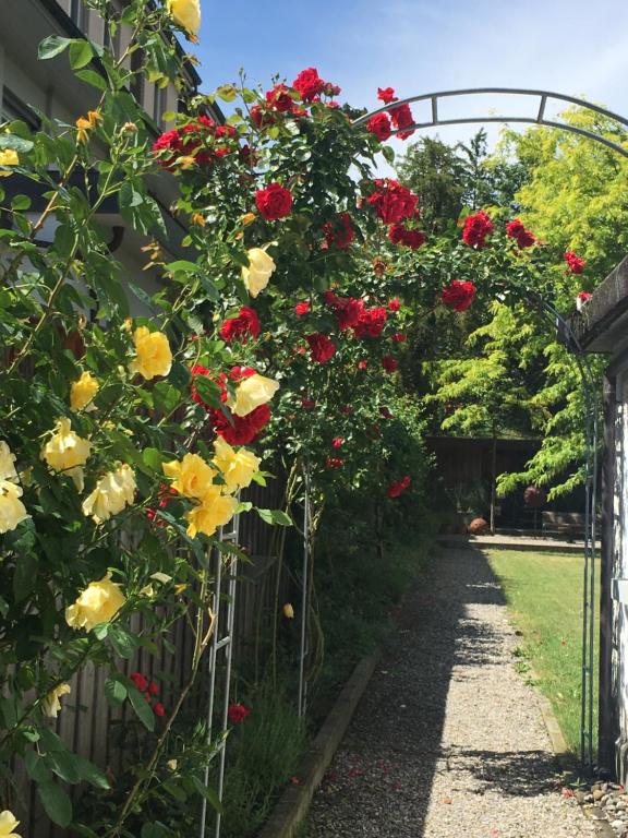 Zahrada ubytování Habsburg B&B