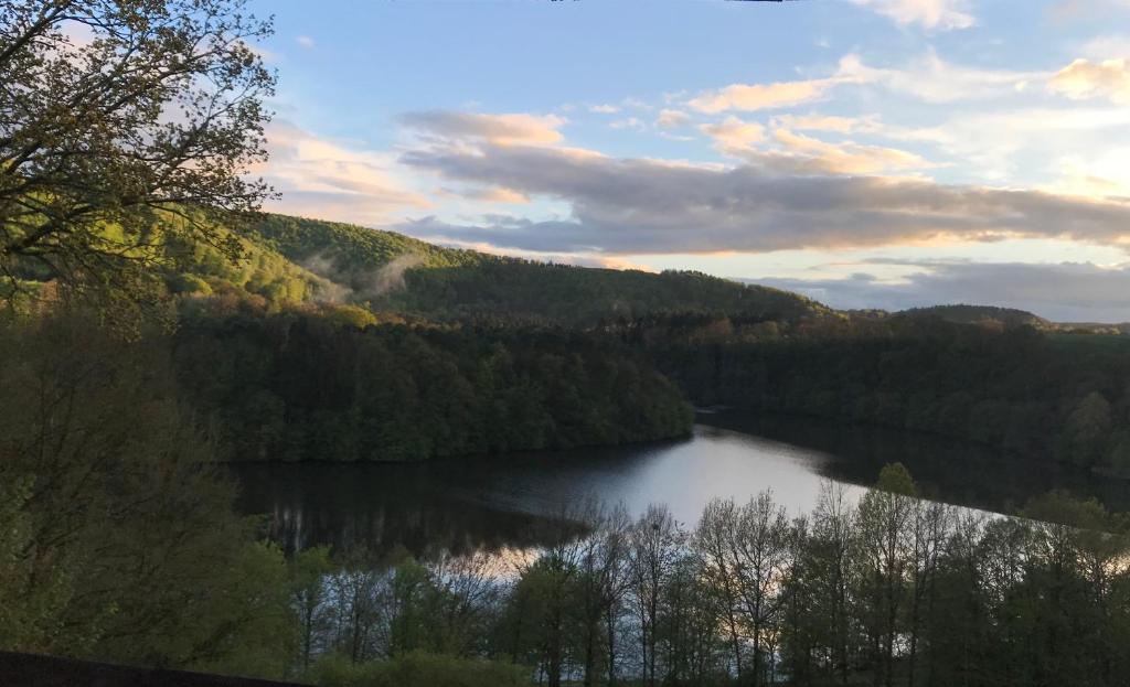 a view of a lake in the middle of a forest at Hotel Berghof in Biersdorf am See