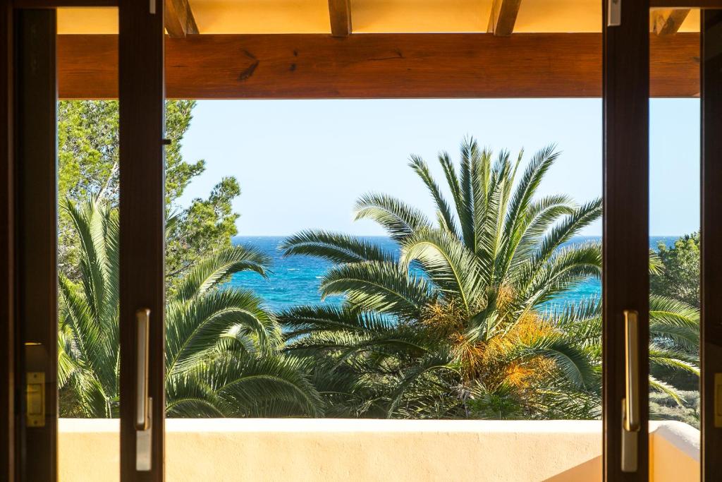een raam met uitzicht op een palmboom bij Sa Rondalla - Formentera in Playa Migjorn