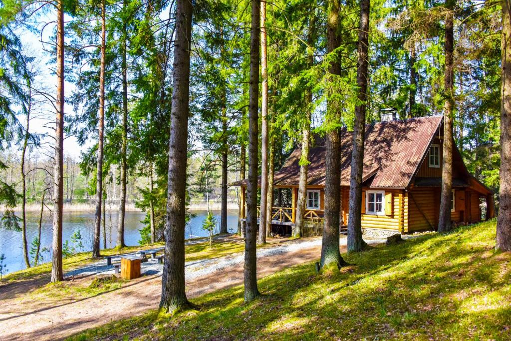 una baita di tronchi nel bosco vicino a un lago di Vidūnų sodyba a Kuktiškės