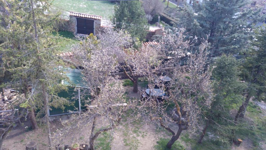 Zahrada ubytování Casa Rural Chulilla