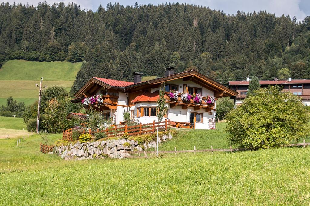 a house on a hill with flowers on it at Apartment Doll in Niederau