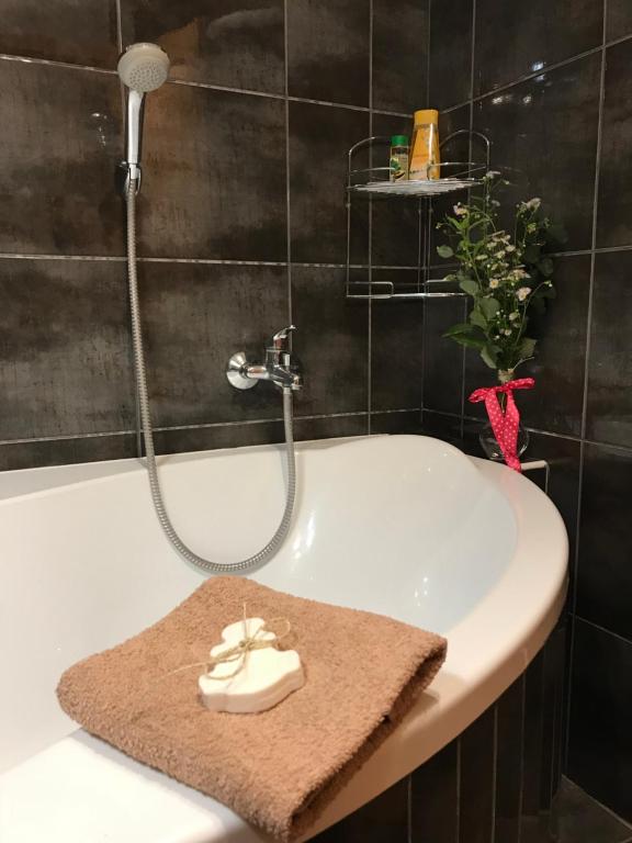 Koupelna v ubytování Rustikální Apartmán v srdci Šumavy