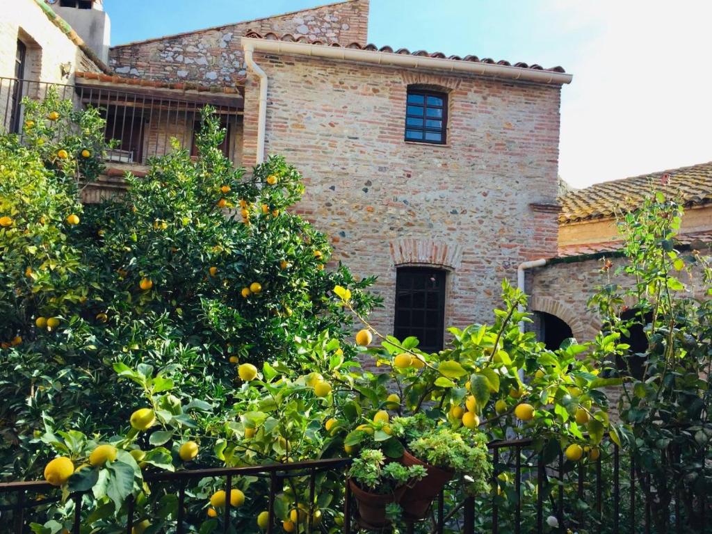 an orange tree in front of a building at La Vieille Demeure in Torreilles