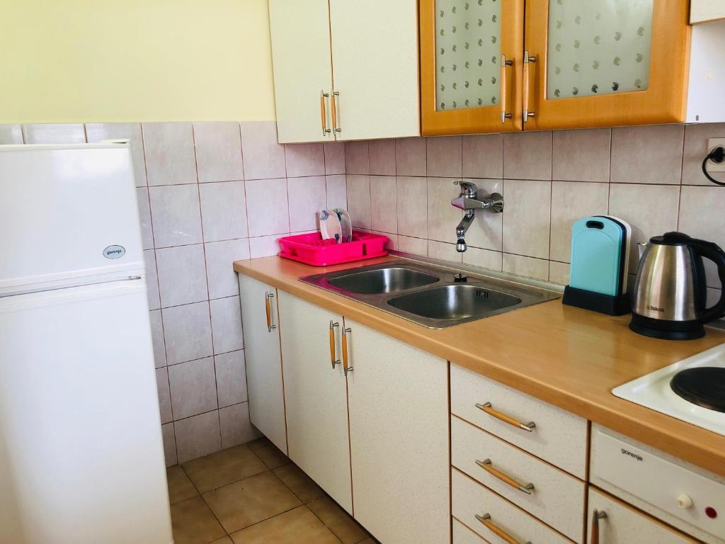 Kuchyňa alebo kuchynka v ubytovaní Apartments Anton