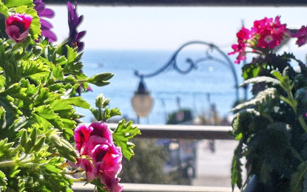 a view of the ocean from a window with flowers at La Collina dei Ciliegi in Salerno
