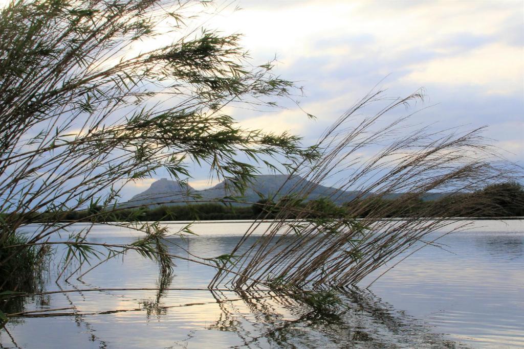 Fotografie z fotogalerie ubytování AP 150 M PLAYA v destinaci Pals