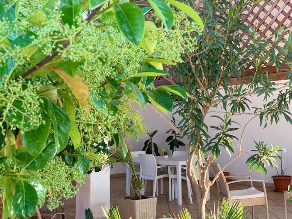 サン・ティジドーロにあるOnda bluのテーブルと植物の群れが備わる部屋