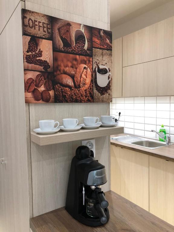 Kuchyňa alebo kuchynka v ubytovaní Nice Wellness Apartman
