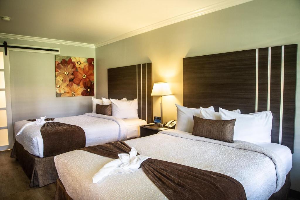 Palm Garden Hotel - Courtyard Queen Room With Two Queen Beds