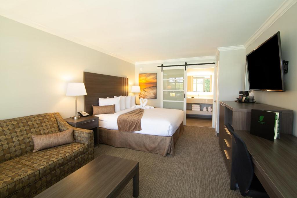 Palm Garden Hotel - King Room - Disability Access