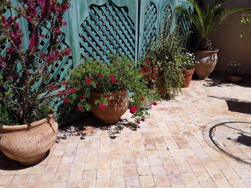 Zahrada ubytování Riad Vega
