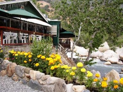 un jardín con flores amarillas frente a un edificio en The Gateway Restaurant & Lodge, en Three Rivers