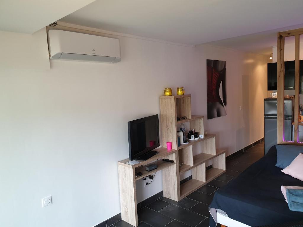 a living room with a tv and a couch at Studio Naturiste P.Nature 6 in Cap d&#39;Agde