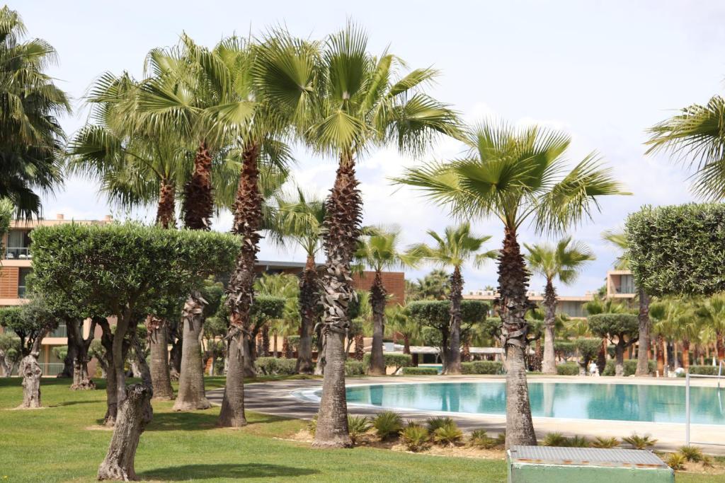 un groupe de palmiers à côté d'une piscine dans l'établissement Salgados Beach&Golf - Praia dos Salgados, à Albufeira