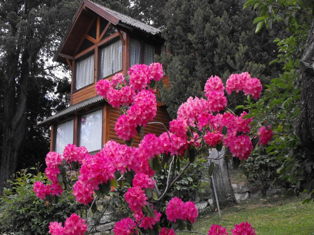 a bush of pink flowers in front of a house at Vientos Del Sur in San Carlos de Bariloche