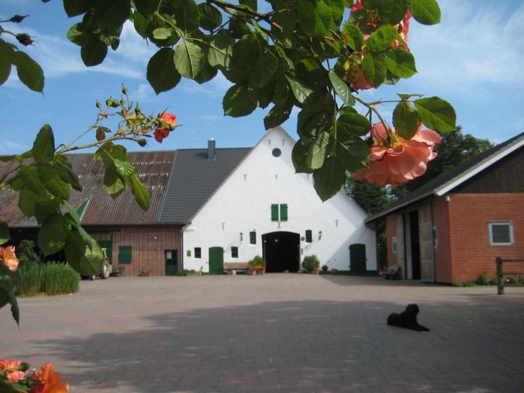 un gato negro sentado frente a un edificio blanco en Wrede-Hof, en Kappeler Niederstrich