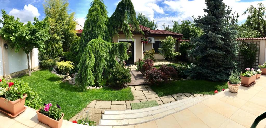 una casa con un patio con plantas y árboles en Cristi's Rooms - Pensiune en Oradea