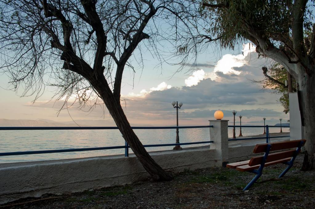 a bench sitting next to a body of water at Erodios Apartments in Elaión