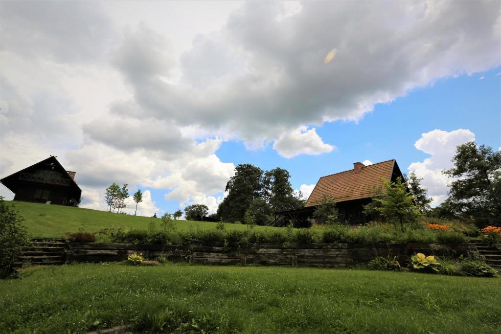 ein grünes Feld mit zwei Häusern auf einem Hügel in der Unterkunft Domy Konesera in Trzcin