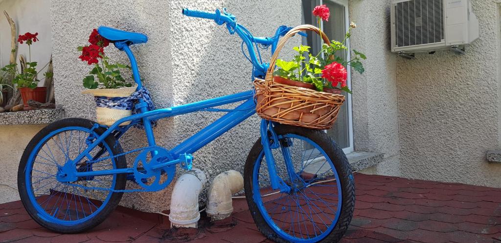 una bicicletta blu parcheggiata accanto a un edificio con fiori di Slantse a Sozopol