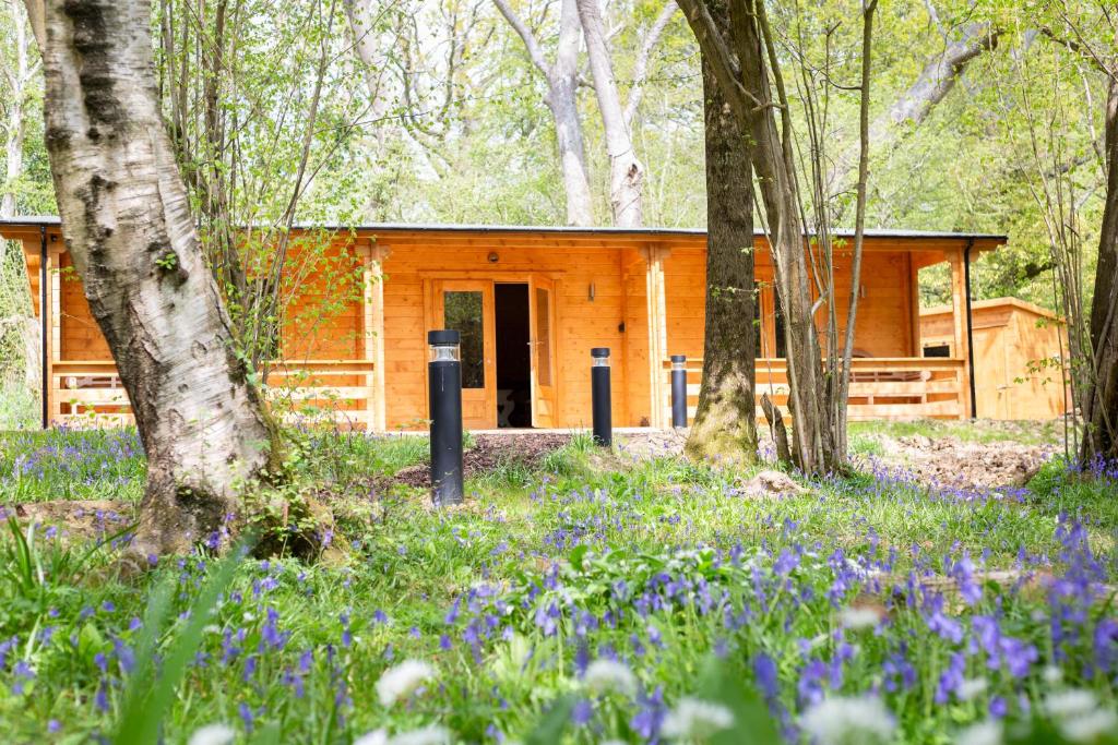 Grey Owl Cabin