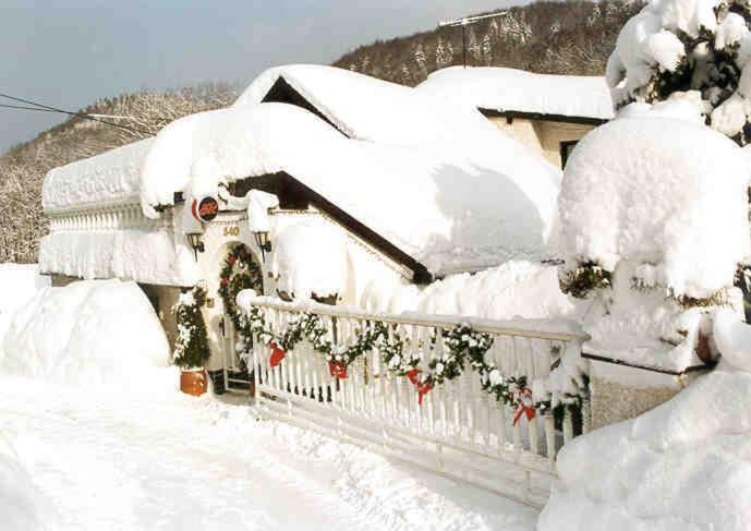 a yard covered in snow with a house at Penzion OK in Svoboda nad Úpou