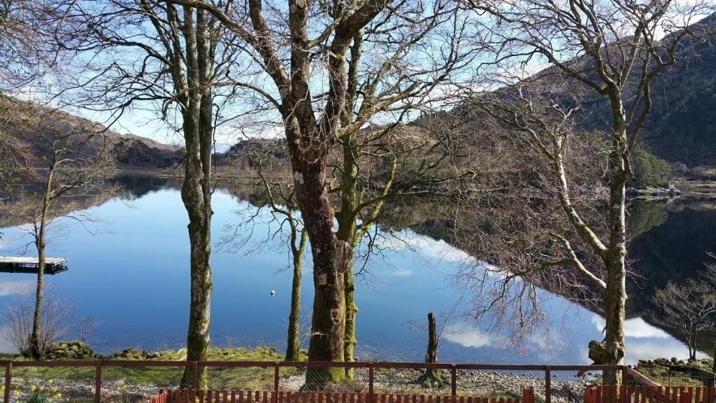 a view of a lake with trees and a fence at Number 4, Loch Shiel View in Glenfinnan