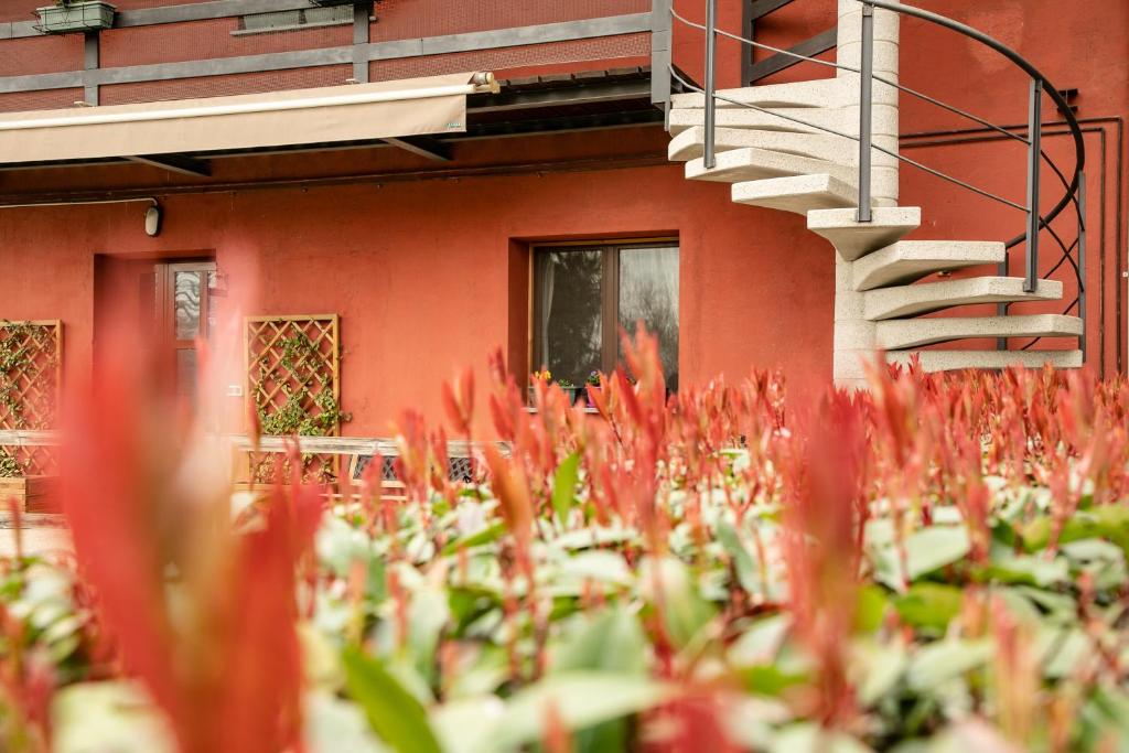 Zahrada ubytování Agriturismo Jesson Rosamund