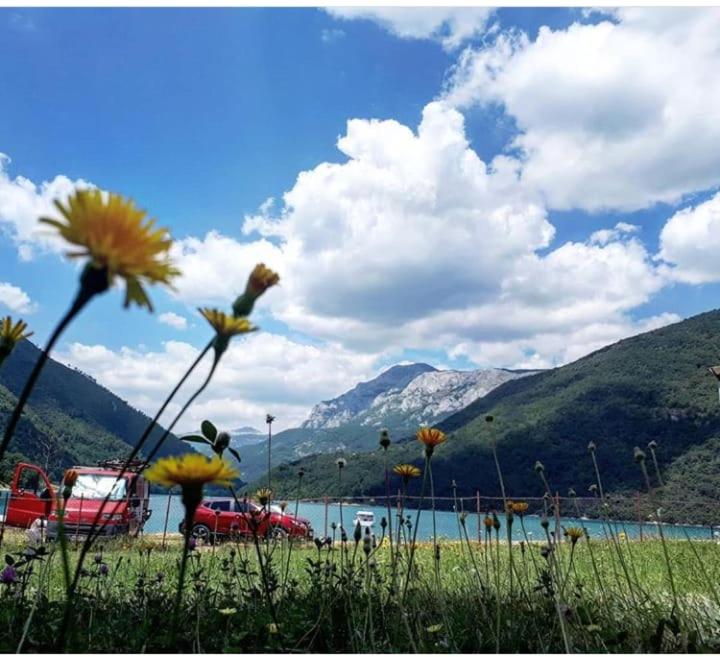a field of flowers with a body of water and mountains at Apartment Osmajic in Pluzine