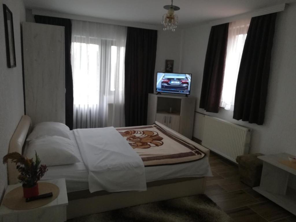 1 dormitorio con 1 cama y TV en la ventana en LAZAREV KONAK, en Banja Koviljača