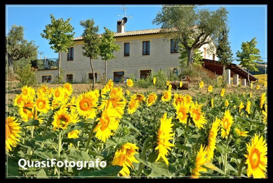 Vonkajšia záhrada v ubytovaní Agriturismo La Cicala