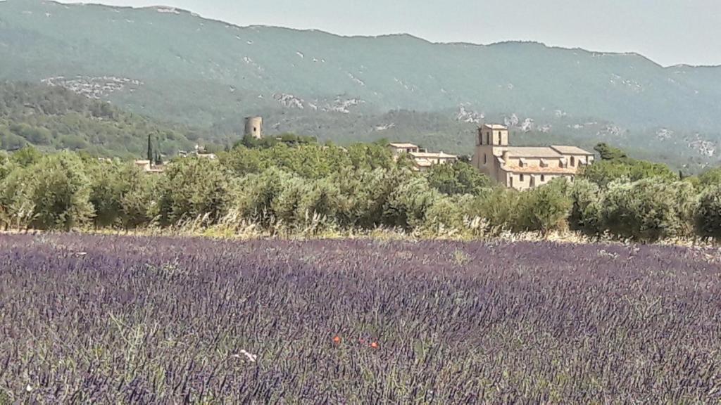 un champ de fleurs violettes avec un bâtiment en arrière-plan dans l'établissement les 3 saisons, à Cucuron