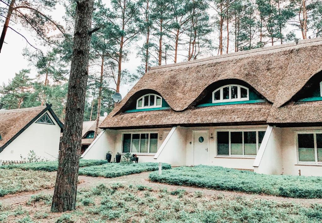 een wit huis met een bruin dak en een boom bij 100 Sekunden zum Strand: Schöne Wohnung auf Usedom in Ostseebad Karlshagen