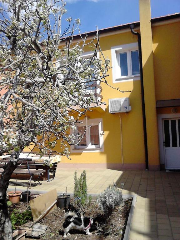 Budova, kde se apartmán nachází