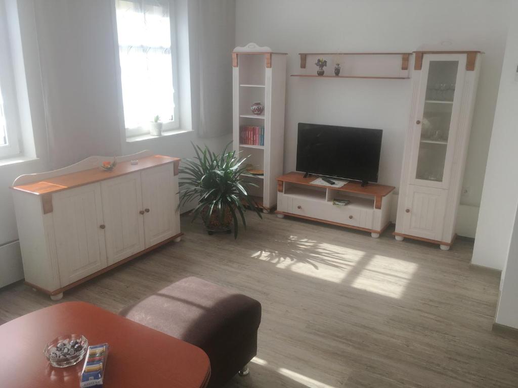 sala de estar con TV de pantalla plana y sofá en zentral gelegene top ausgestattete Wohnung, en Wurzen